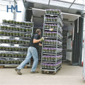 4 Wheel Danish Horticultural Greenhouse Nursery Plant Racks